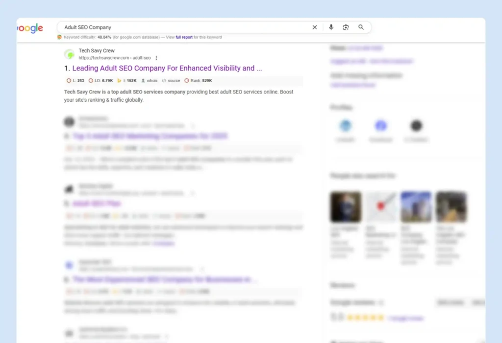 Adult SEO Result Based Package